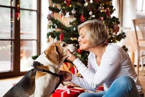 Woman with her dog at Christmas