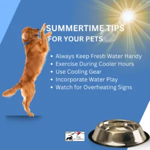 SUMMERTIME TIPS FOR YOUR PETS Always Keep Fresh Water Handy Exercise During Cooler Hours Use Cooling Gear Incorporate Water Play Watch for Overheating Signs